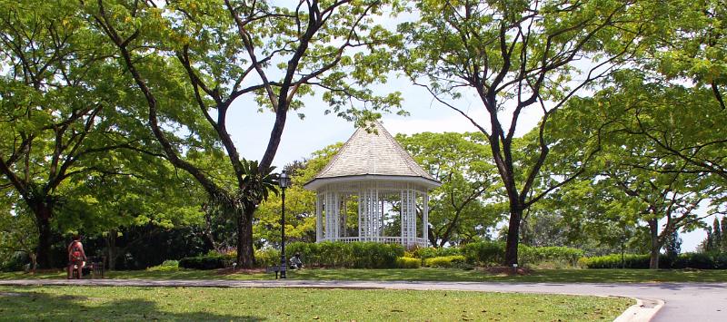 Botanic Garden 26.JPG - KONICA MINOLTA DIGITAL CAMERA